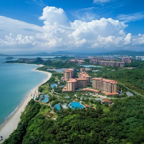 探索海南：一場熱帶風(fēng)情的味蕾之旅