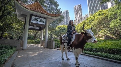 揭秘:碭山地名背后的歷史淵源