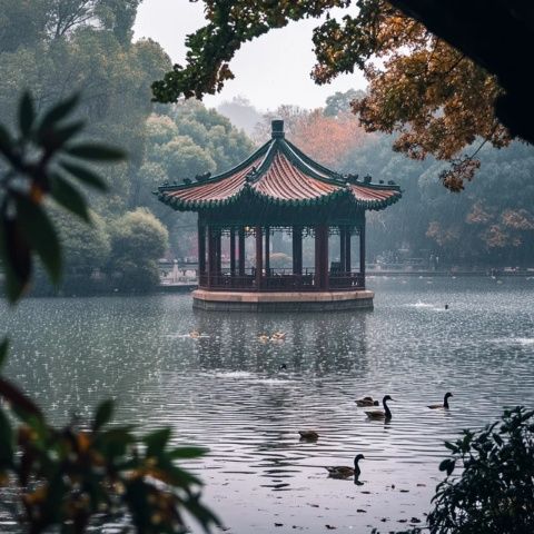 昆明翠湖公園美食探秘：海鷗之美與地道的云南味蕾之旅
