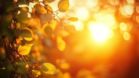 春季養(yǎng)生口訣，記住五個少！