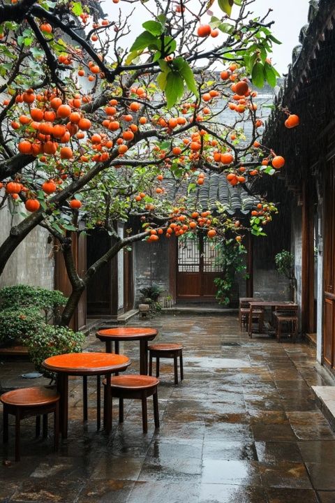 惠山古鎮(zhèn)的小吃舊時光