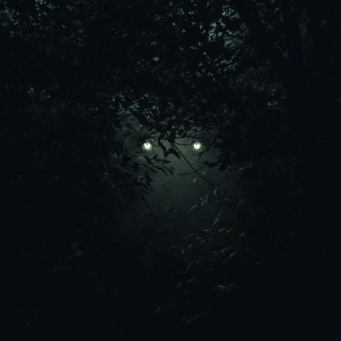 燈火闌珊處，夜色正濃時(shí)