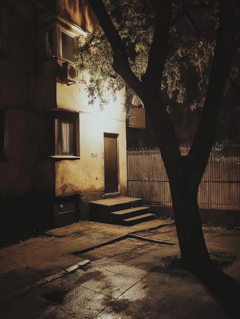 燈火闌珊處，夜色正濃時(shí)