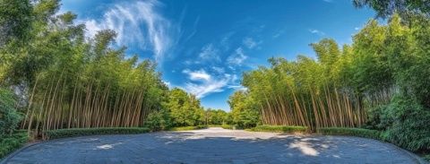 廣東周邊游|避暑必去的古兜溫泉小鎮(zhèn)！