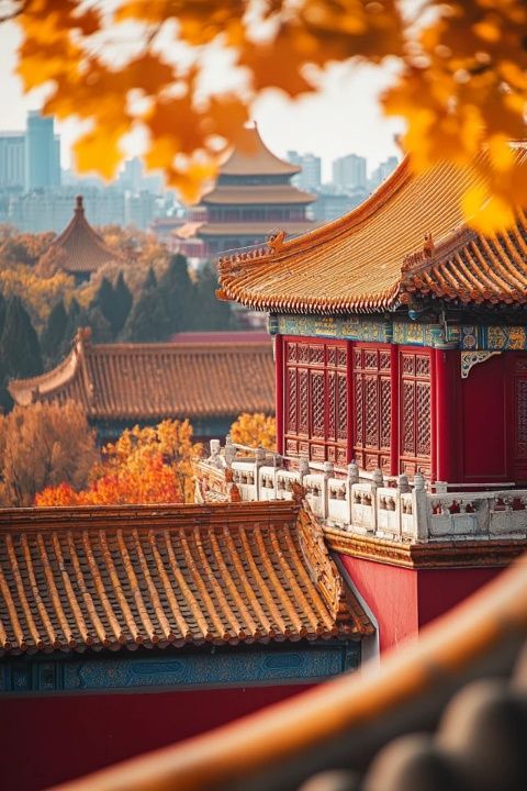 北京·雅寶路首家林家一臺(tái)州菜店開業(yè)了！