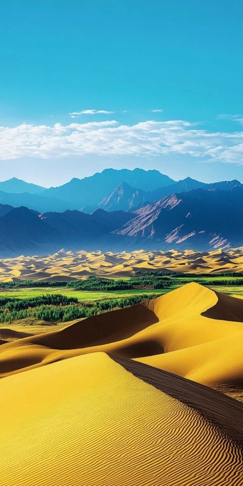 內(nèi)蒙古沙漠之旅攻略：烏海至阿拉善左旗住宿、美食推薦