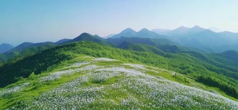 山西右玉：黃花飄香的地方，一個(gè)隱藏在塞北的小城，美的低調(diào)卻讓人心動(dòng)