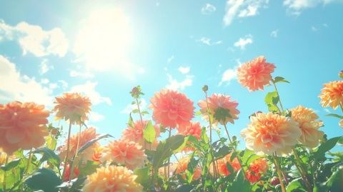 讓生命充滿鮮花與陽光！春日生活打卡季即將來臨！