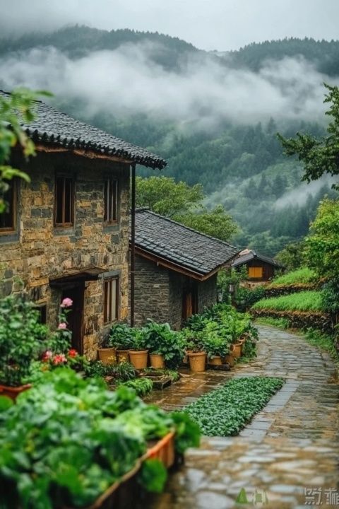福建土樓旅游攻略，趣味滿滿等你來探索！