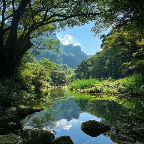 五一假期徒步攻略：廣州火爐山夏日探險記