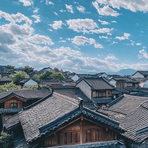 湛江市霞山區(qū)64條村人口數(shù)量與姓氏分布情況