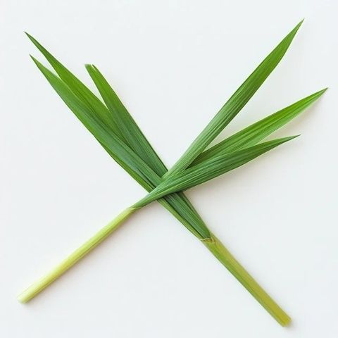 記一次意外的綠色美食之旅吃草也能如此美味？