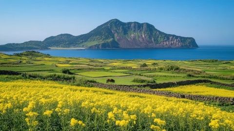 墾丁旅游全攻略：熱門景點、美食住宿一網(wǎng)打盡！