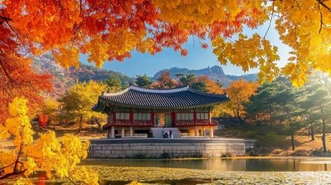 魅力與挑戰(zhàn)并存：韓國旅游全覽——文化、購物、美食及待提升之處