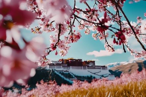 瀘西城子古村~小布達(dá)拉宮~赴一場(chǎng)洋芋盛宴
