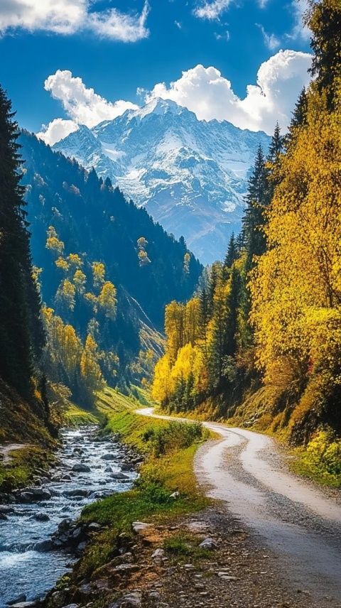 走在同一條路上久了，不妨試試岔路，欣賞不同的風景