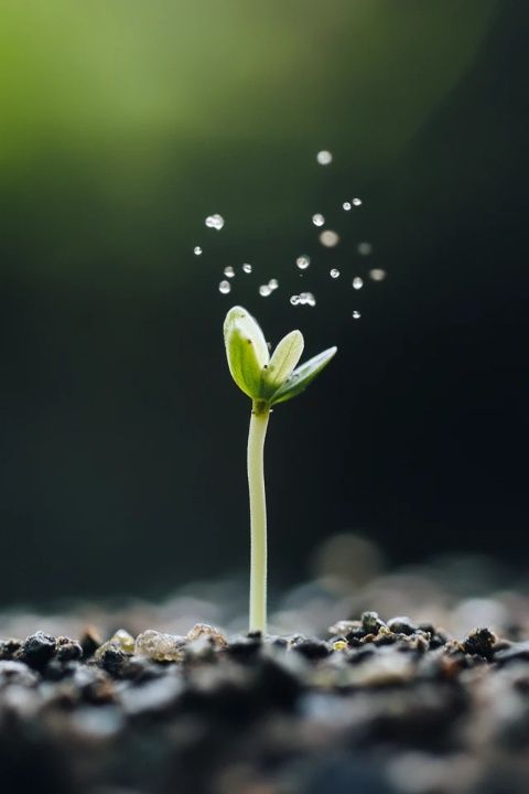 聚焦當下，提升生活品質與個人成長的重要性