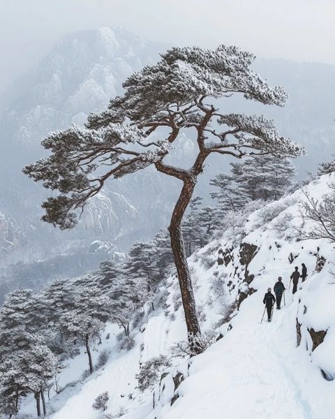 宜興黃塔頂冬季徒步探險(xiǎn)：挑戰(zhàn)自我，盡享江南雪域風(fēng)光