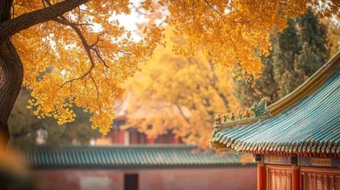 北京金秋必體驗的戶外好時光