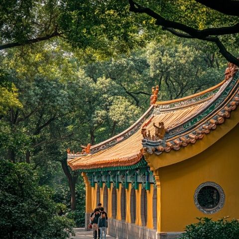 廈門六日游：自然風光與人文魅力的盛宴，從中山路到南普陀寺的深度體驗