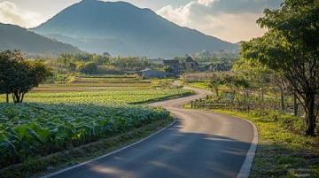 探索洛陽(yáng)澗西區(qū)淺井頭九都路——初綻的新晉超市潛力無(wú)限