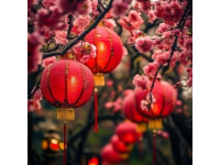 今天出去轉(zhuǎn)了一圈，發(fā)現(xiàn)佛山的過(guò)年氣氛搞起來(lái)了，花市開(kāi)了，美食節(jié)同行