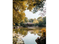 杭州美景與歷史文化的完美結(jié)合吸引眾多游客來訪