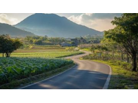 探索洛陽(yáng)澗西區(qū)淺井頭九都路——初綻的新晉超市潛力無(wú)限