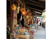 一路童行，這鄉(xiāng)有禮——坐上寶寶巴士游濱州過大年