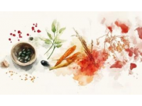 中藥小知識(shí)科普