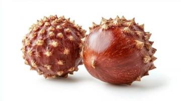 秋日美食健康吃：冬棗、板栗、紅薯與大閘蟹的注意事項(xiàng)
