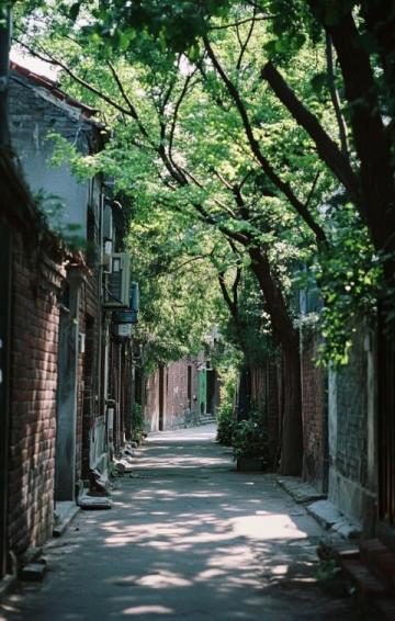 蘇州必游經(jīng)典路線：拙政園、博物館到周莊古鎮(zhèn)一日游攻略