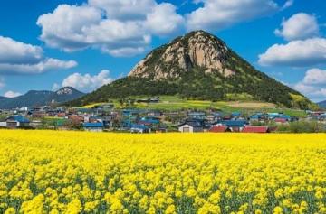 探索韓國(guó)濟(jì)州島:自然風(fēng)味下的酸甜辣美食之旅