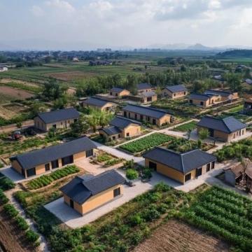 拼多多助力廣東清遠農(nóng)業(yè)產(chǎn)業(yè)升級與品牌打造