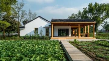 拼多多助力廣東清遠農(nóng)業(yè)產(chǎn)業(yè)升級與品牌打造