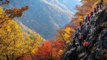 九皇山景區(qū)游玩指南：賞紅葉、美食、擼羊駝！