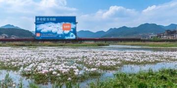 湖北鐘祥名鎮(zhèn)胡集：人口超10萬，磷礦資源豐富，享有“中部磷都”美譽