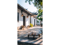 寧波周邊游：寧海前童古鎮(zhèn)尋年味之旅
