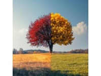 秋季生活：多彩健全體現(xiàn)樂(lè)觀態(tài)度