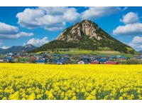 探索韓國濟(jì)州島：自然風(fēng)味下的酸甜辣美食之旅