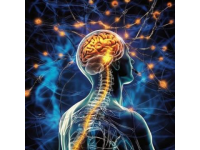 關(guān)于癲癇的這些常識(shí)你知道多少？（腦電圖、癲癇發(fā)作等詳解）