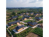 拼多多助力廣東清遠(yuǎn)農(nóng)業(yè)產(chǎn)業(yè)升級(jí)與品牌打造