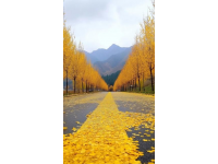 九皇山景區(qū)游玩指南：賞紅葉、美食、擼羊駝！