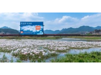 湖北鐘祥名鎮(zhèn)胡集：人口超10萬，磷礦資源豐富，享有“中部磷都”美譽