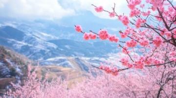 衡陽之旅:風景如畫的桃花源,古老的歷史,迷人的文化。