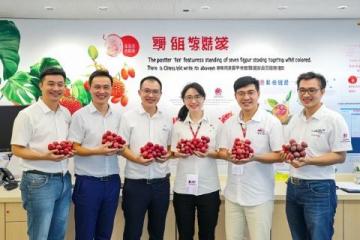 走進(jìn)自貢的美食世界——一口湯汁濃濃的歷史和文化味道