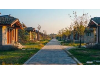 探秘南陽：歷史名城的文化遺產與美食探索之旅