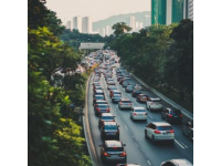 乾隆白菜引發(fā)主持人大戰(zhàn)，天津交通廣播節(jié)目意外中斷