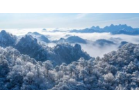 大明山萬松嶺滑雪場：搶先體驗早鳥票優(yōu)惠，暢享華東最大室外高山雪域