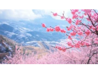 衡陽之旅:風(fēng)景如畫的桃花源,古老的歷史,迷人的文化。